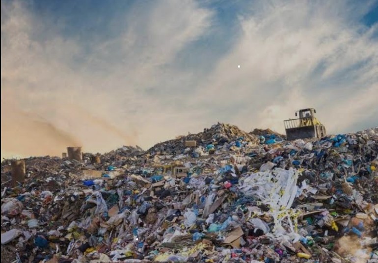 Environmental Impact of Fast Fashion