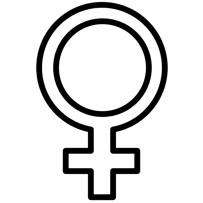 Sexist Jokes On Women